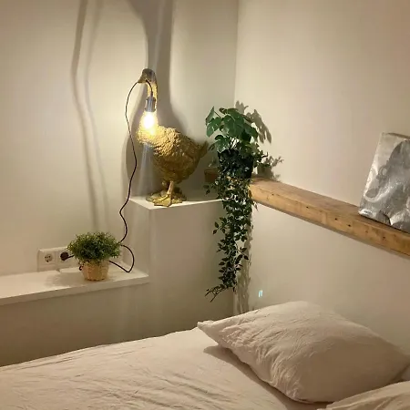 Gasthuis Tiny Beachhouse 4*